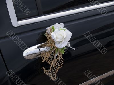 Wedding rose