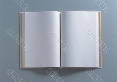 Blank notebook
