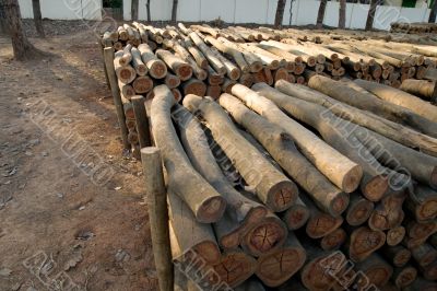 Logs, India