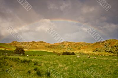 Rainbow above the meadow