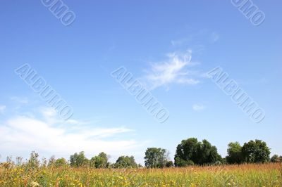 Beautiful sunny day