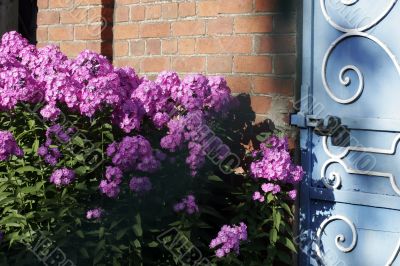 Brick wall and door