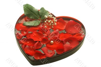valentine heart with a rose petals