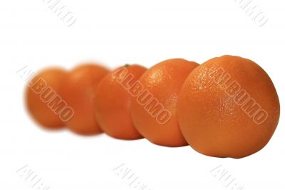 Five juicy oranges