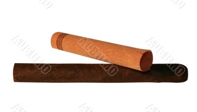The cigar