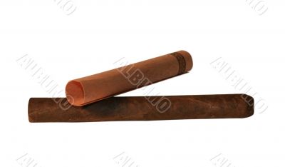 The cigar