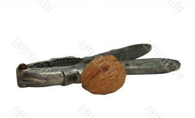 Walnuts