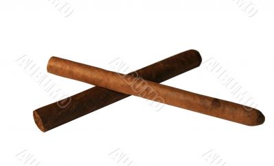 Two cigar