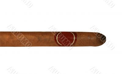 The cigar