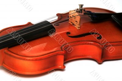 Small violin in a hand
