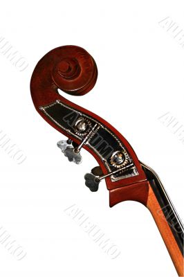 Contrabass