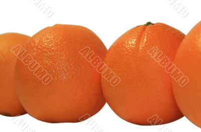 three juicy oranges