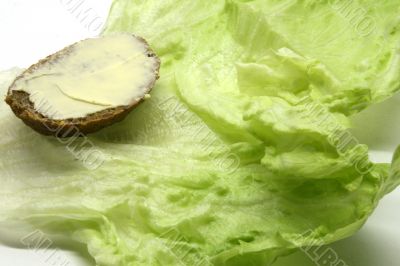 Diet