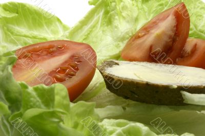 Diet