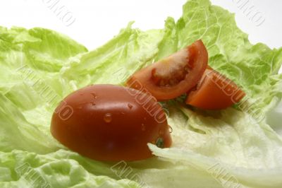Diet
