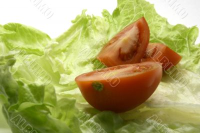 Diet