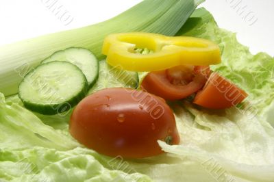 Diet