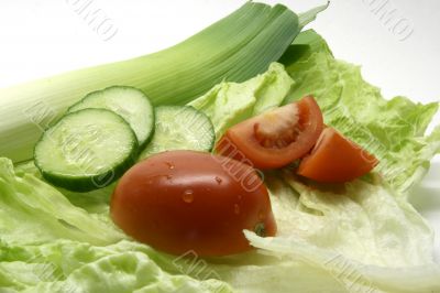 Diet