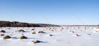 White silence.