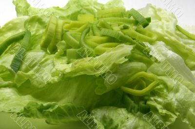 Diet