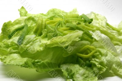 Diet