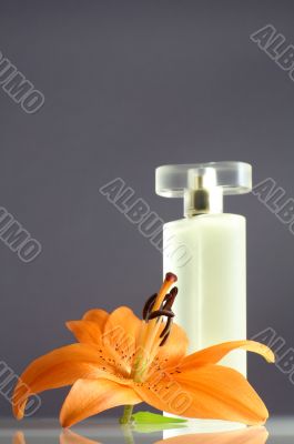 composition with a perfume and lily