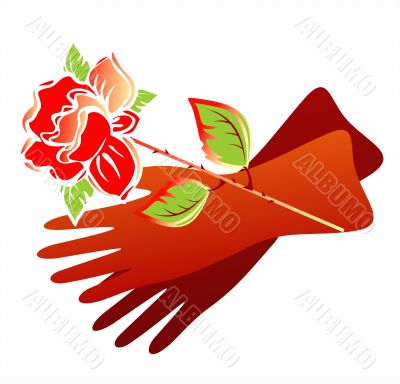 gloves and rose