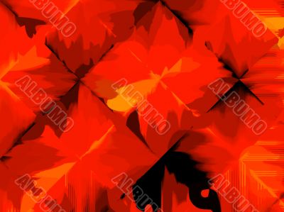 Autumnal leaf abstract