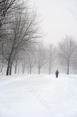 Man walking in a snowy park