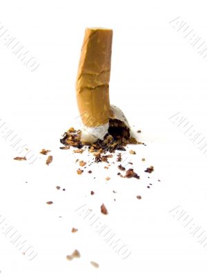 Cigarette butt