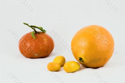 Citrus fruits