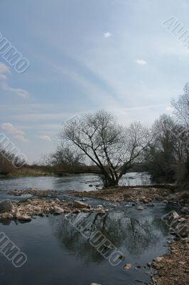 Spring landscape.