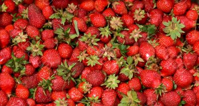 Strawberry background