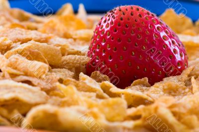 Corn Flakes and Strawberries - Close up