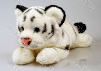 Lovely Tiger
