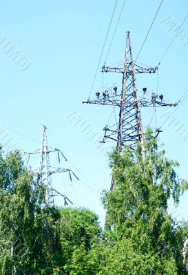 Power Line