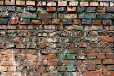 Spotted Brick Wall