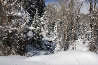 Winter Skys 4