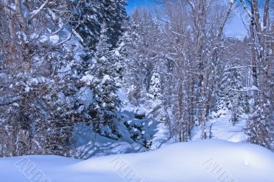 Winter Skys 3