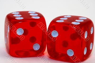 Many colored Dice