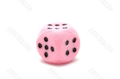 pink die