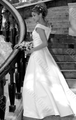Bride in Wedding Dress