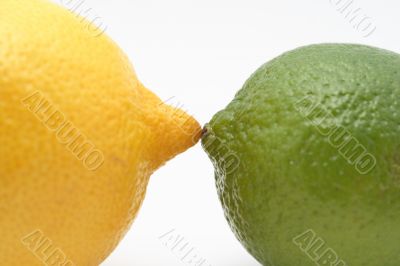 Lemon in love with lime