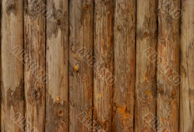 Old Log Wall