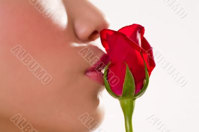 kissing a red rose