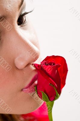 kissing a red rose