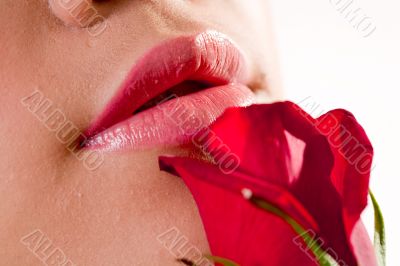lips and rose