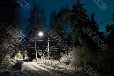 Winter night