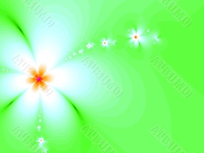 white flower fractal