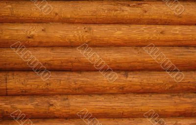 Natural Log Wall